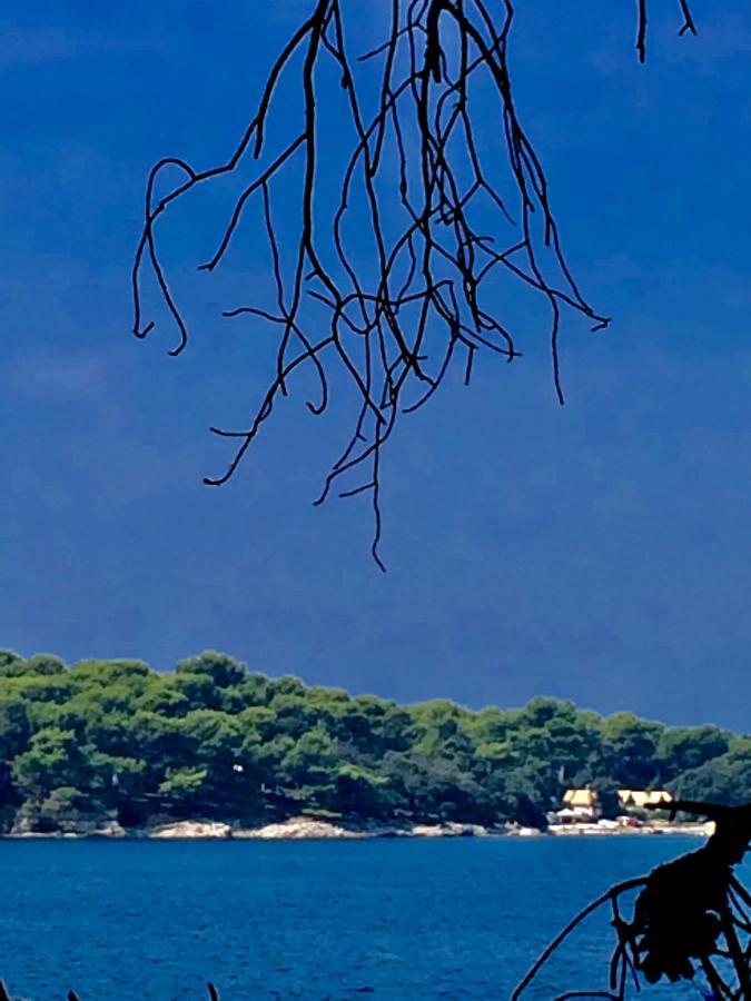 In The Center & Nice & Quiet Pula Exterior foto