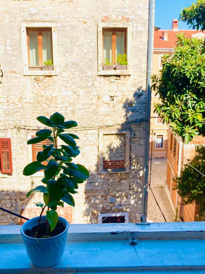 In The Center & Nice & Quiet Pula Exterior foto